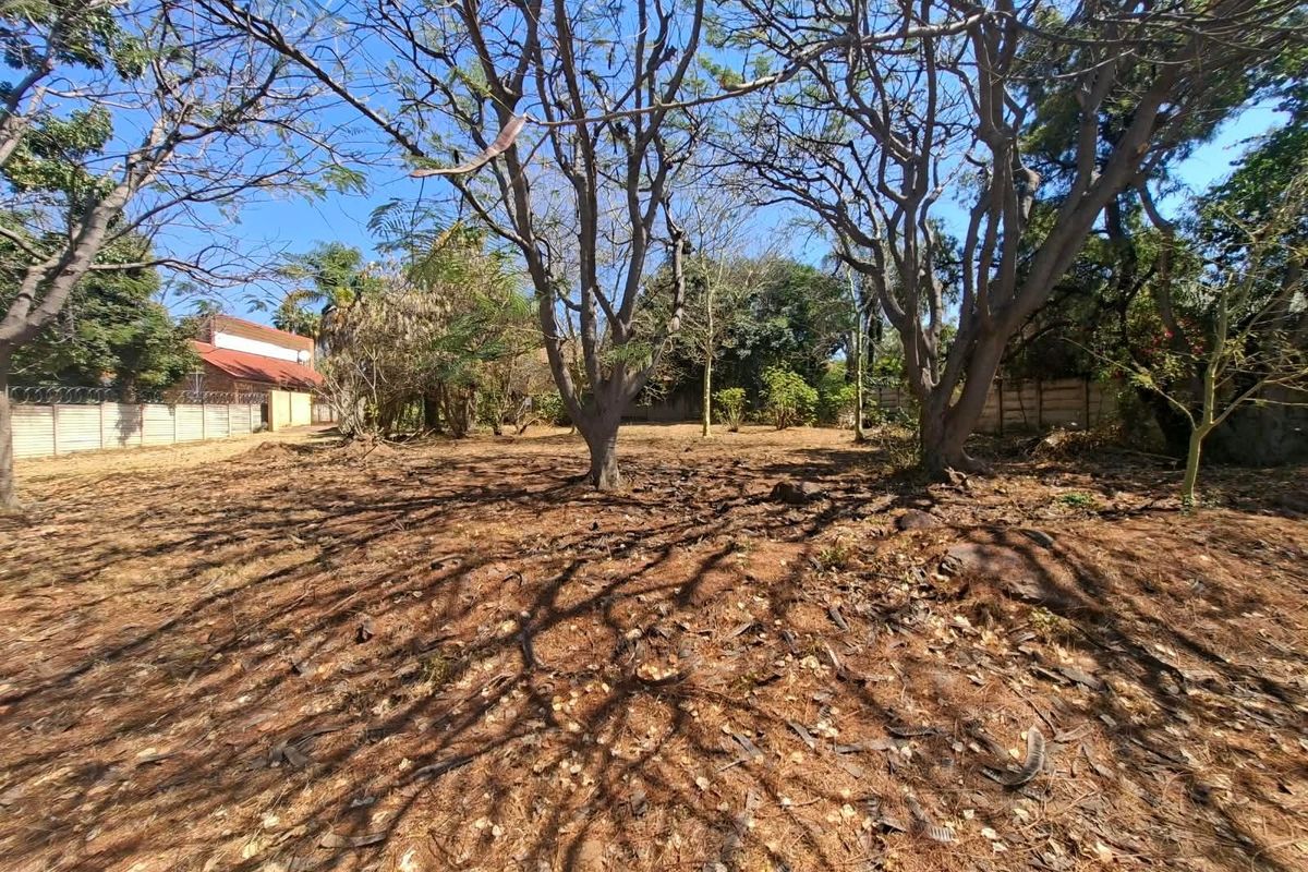 A vacant residential plot featuring mature trees and enclosed by a precast concrete boundary wall with security fencing.