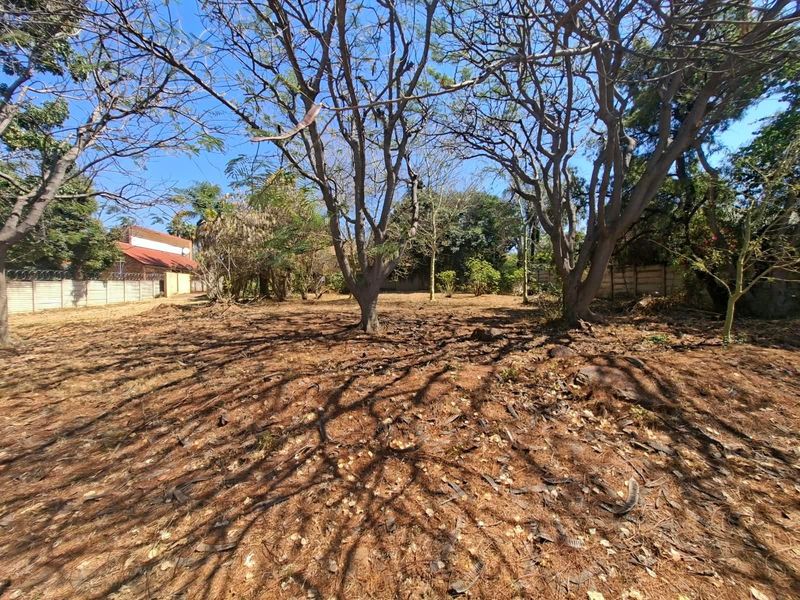 A vacant residential plot featuring mature trees and enclosed by a precast concrete boundary wall with security fencing.
