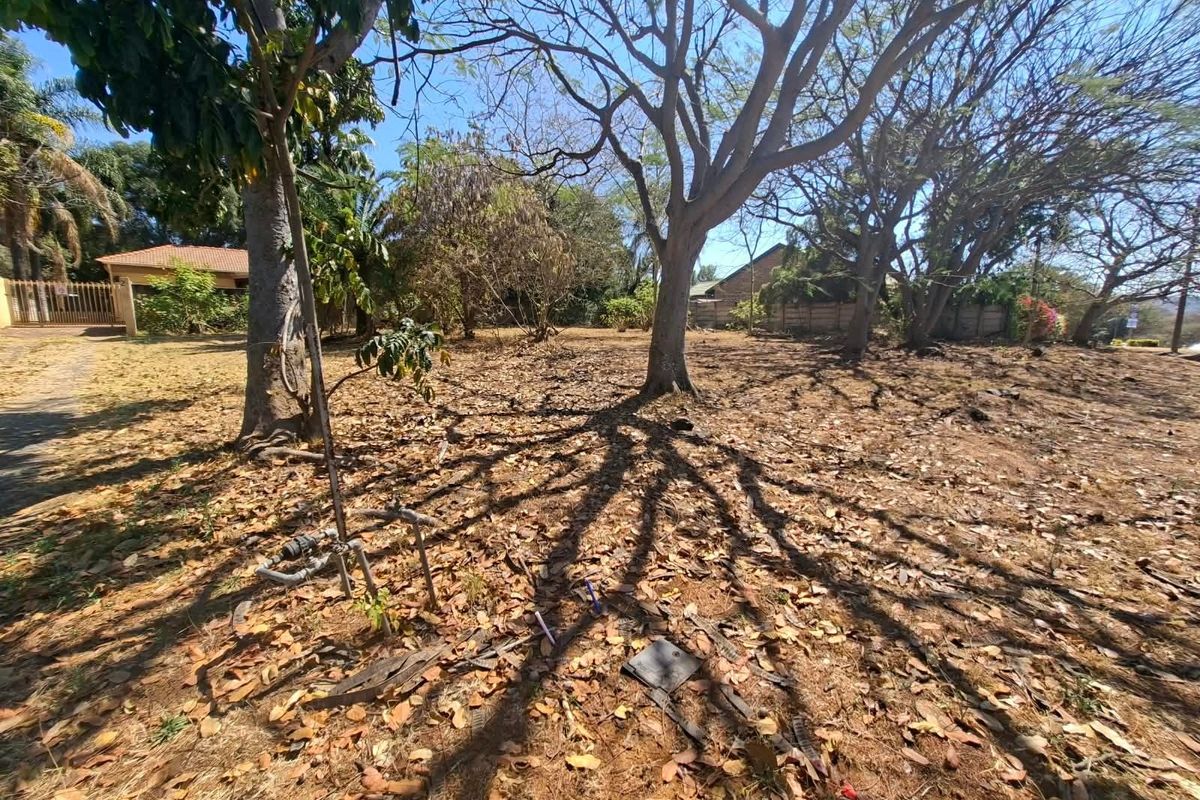 A vacant residential plot featuring mature trees and an existing water connection point, offering a blank canvas for future development.