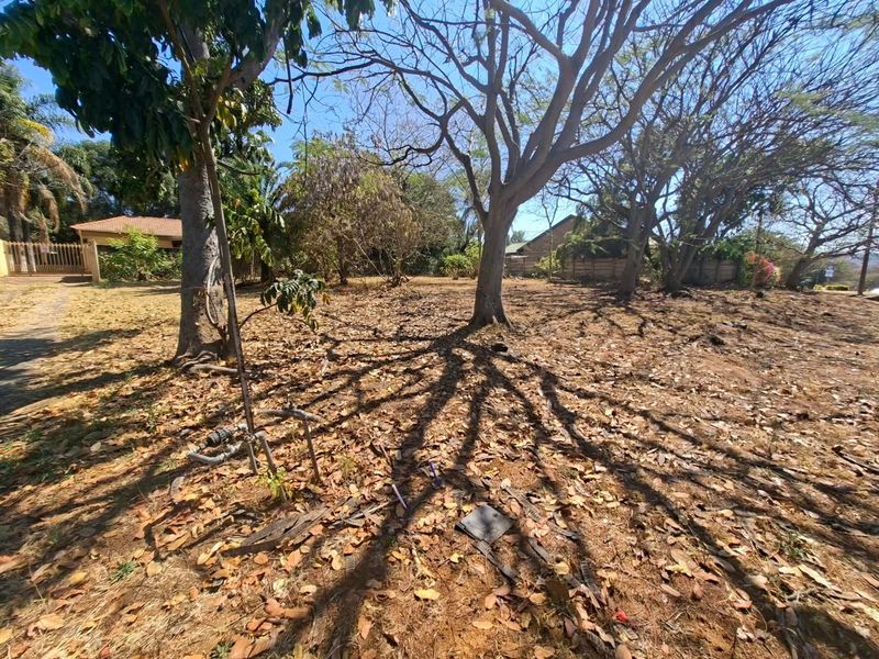 A vacant residential plot featuring mature trees and an existing water connection point, offering a blank canvas for future development.