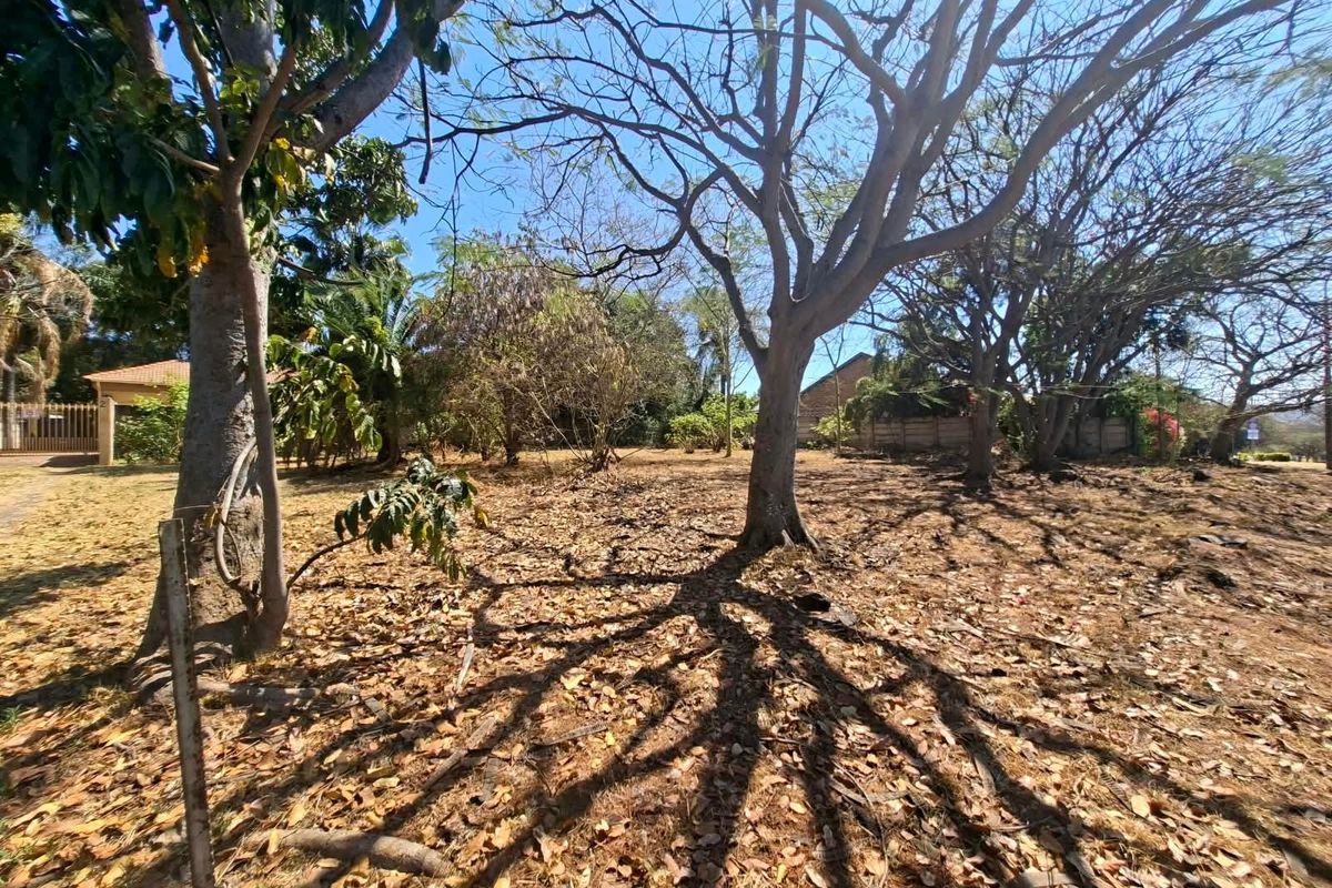 A view of a vacant residential plot featuring mature trees and natural ground cover, offering a blank canvas for future development.