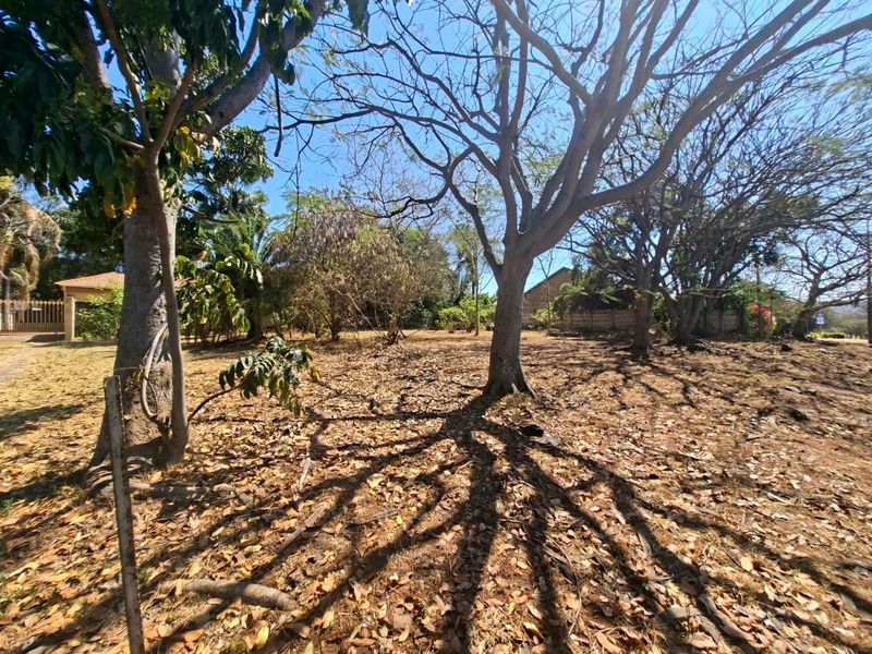 A view of a vacant residential plot featuring mature trees and natural ground cover, offering a blank canvas for future development.