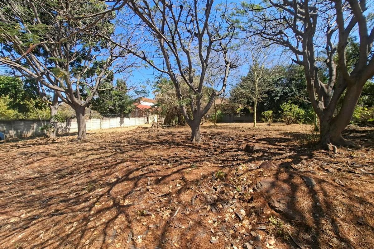 A vacant residential plot featuring mature trees and a perimeter boundary wall, offering a clear space for potential development.