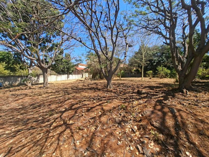 A vacant residential plot featuring mature trees and a perimeter boundary wall, offering a clear space for potential development.