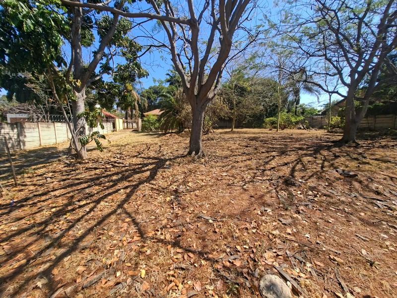 A spacious, level residential plot featuring mature trees and enclosed by a perimeter wall, offering a blank canvas for future development.