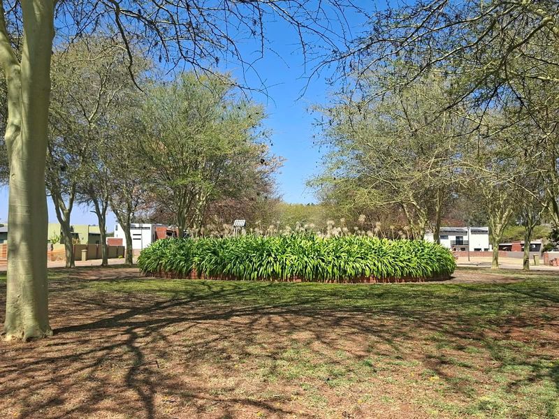A well-maintained residential garden area featuring mature trees and a central circular landscaped planter bed.