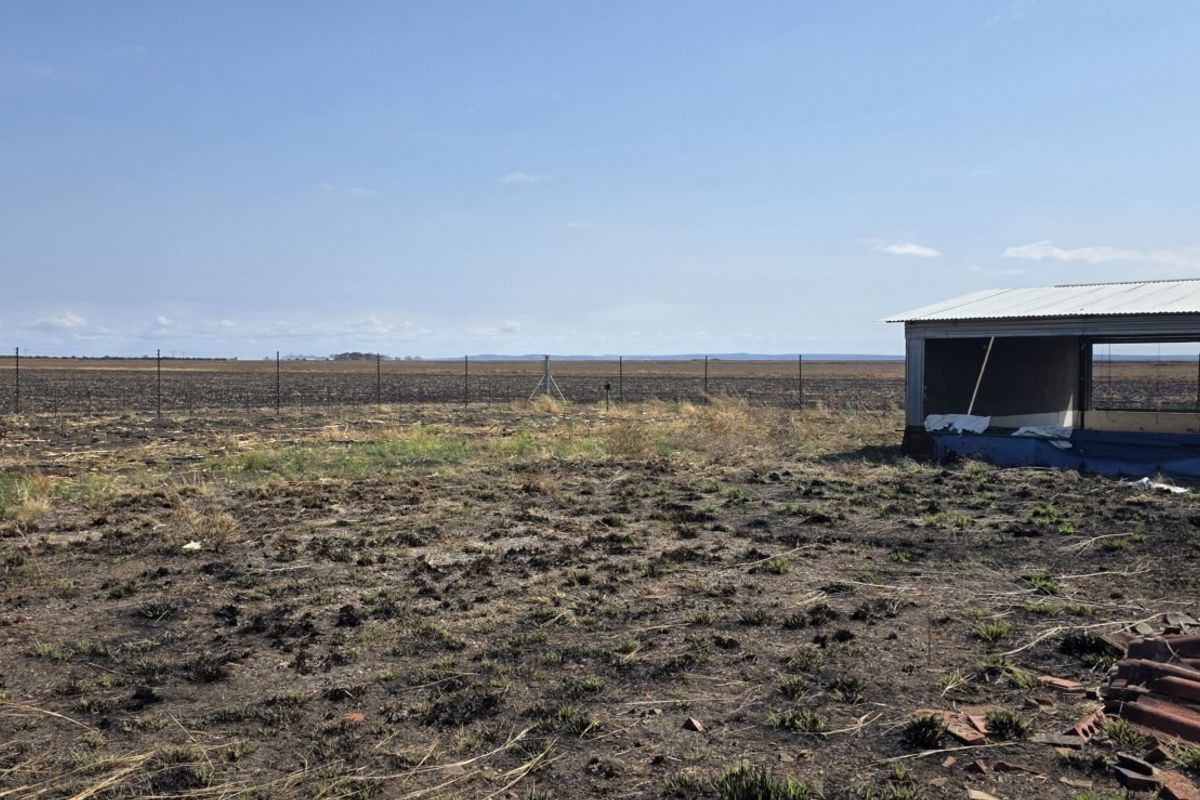View of a rural farm property featuring an open-sided agricultural structure, perimeter fencing, and expansive open land.
