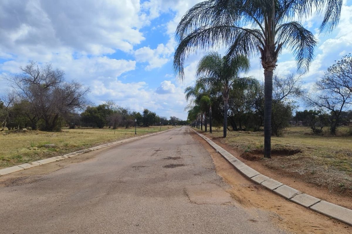 A view of a paved residential street lined with mature palm trees, showing the surrounding vacant land and infrastructure.
