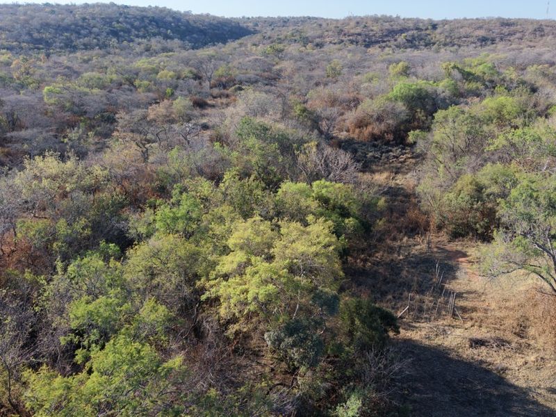 An aerial view of the property showcasing the expansive natural landscape, indigenous trees, and surrounding bushveld terrain.