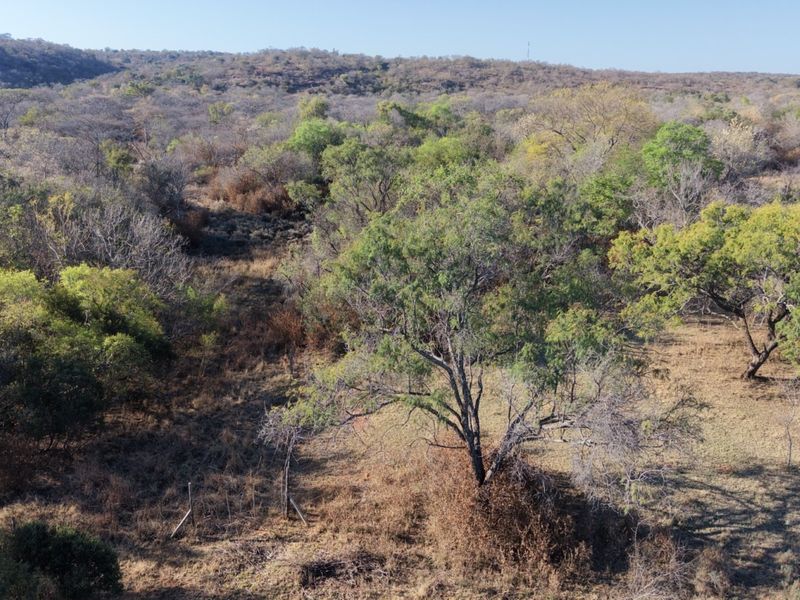 An aerial view of the expansive natural landscape and indigenous vegetation on the small holding property.