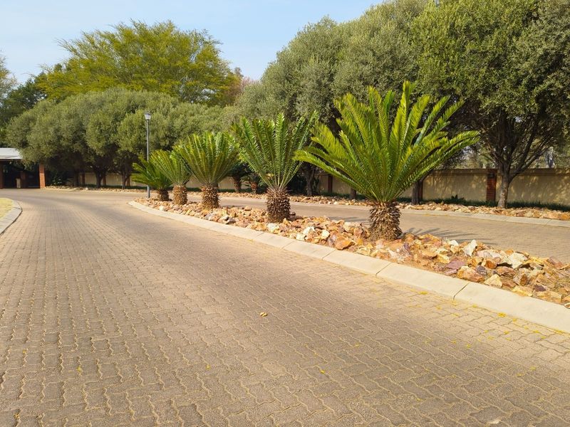 A well-maintained paved driveway featuring landscaped garden beds with mature cycads, concrete curbing, and a secure perimeter wall in a residential estate setting.