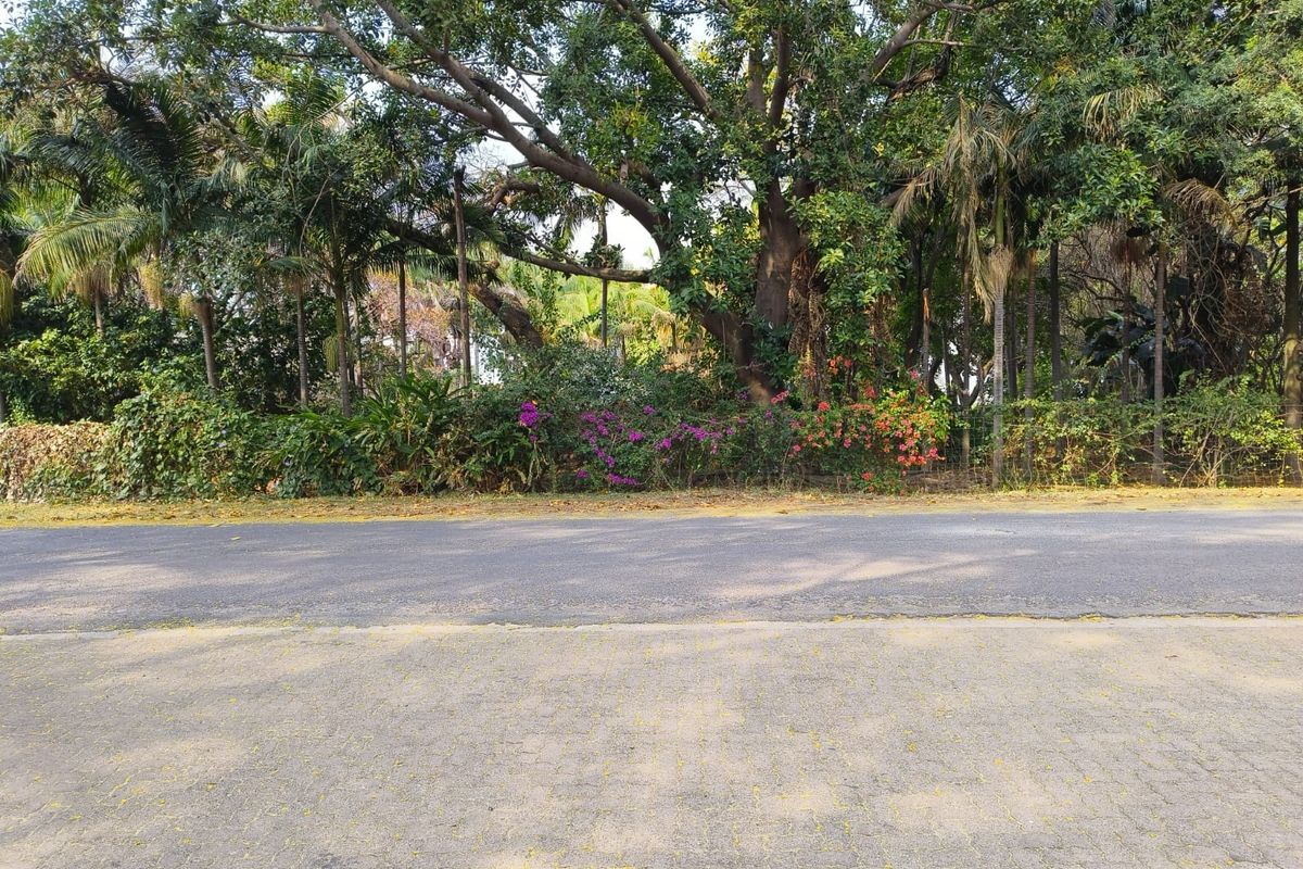 A view of the street frontage featuring mature trees, established landscaping, and a paved road surface.