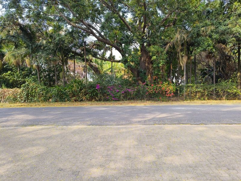 A view of the street frontage featuring mature trees, established landscaping, and a paved road surface.