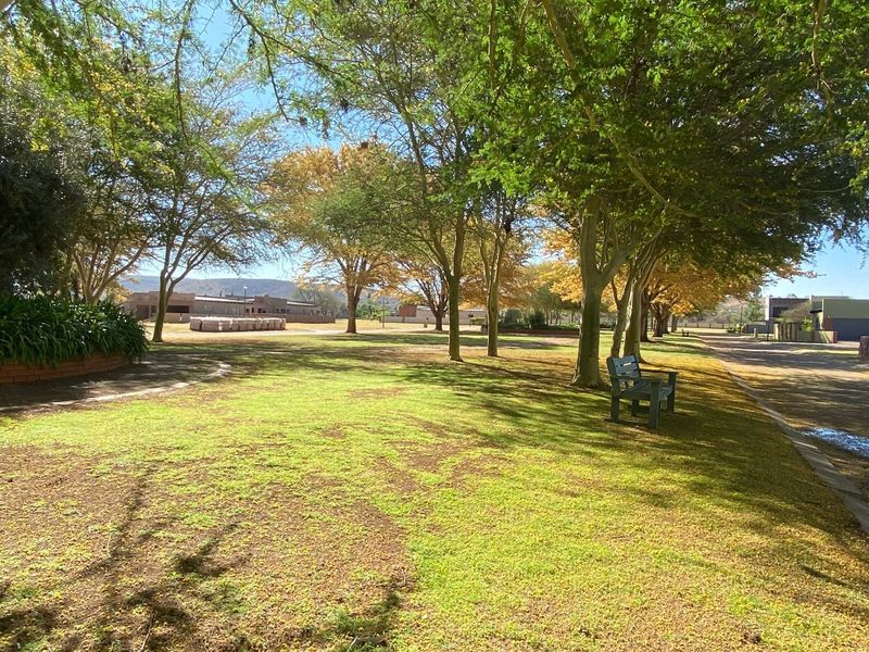 A well-maintained residential garden area featuring mature trees, expansive lawn space, and a brick retaining wall.