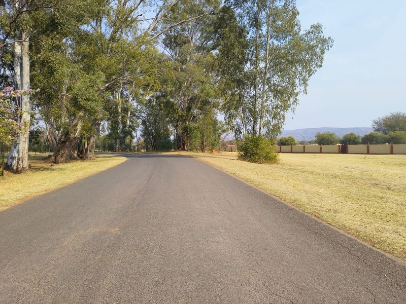 A view of a paved access road leading through a residential area with mature trees and a perimeter wall.
