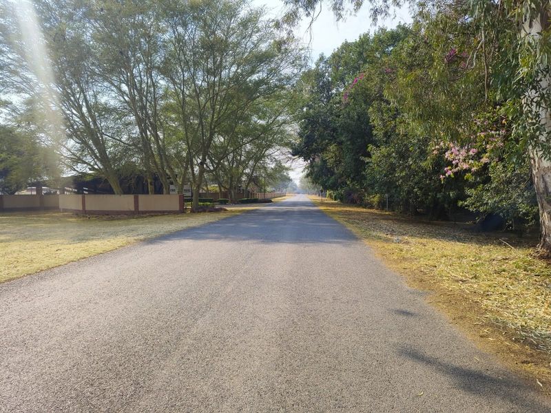 A view of the paved street approach lined with mature trees and established vegetation, providing access to the residential property.