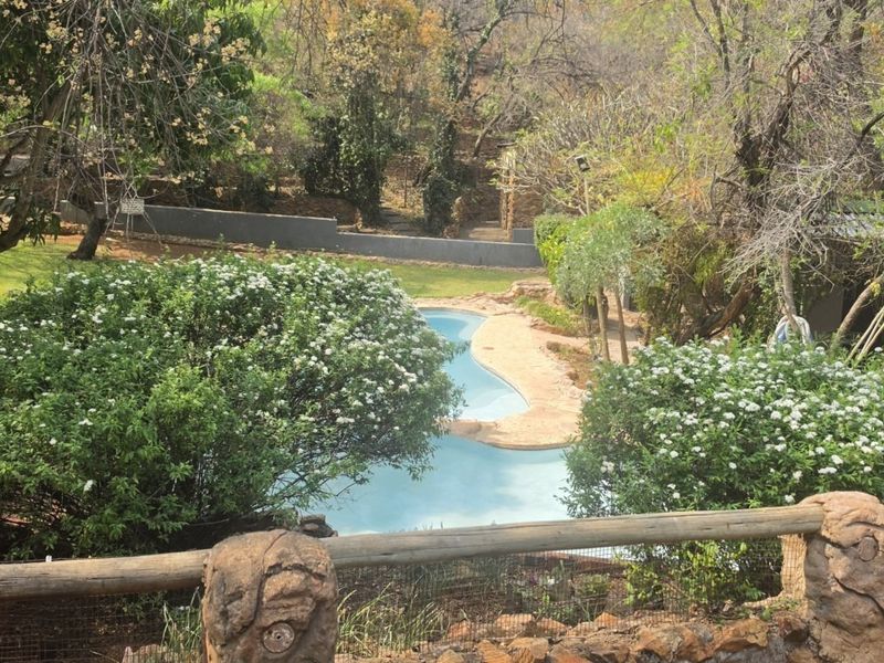 An elevated view of a swimming pool set within a lush, mature garden featuring established trees and a rustic timber boundary railing.