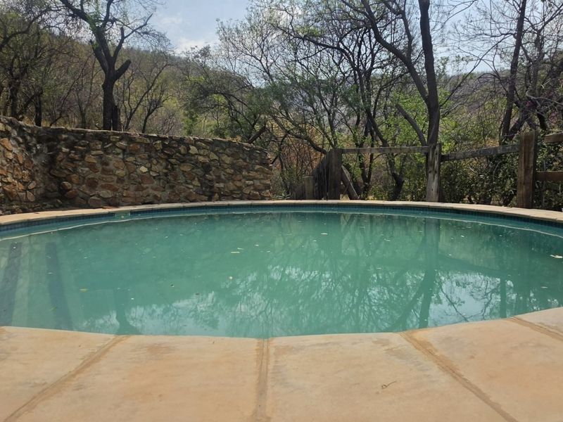A circular outdoor swimming pool featuring stone retaining walls and timber fencing, set within a natural, wooded landscape.