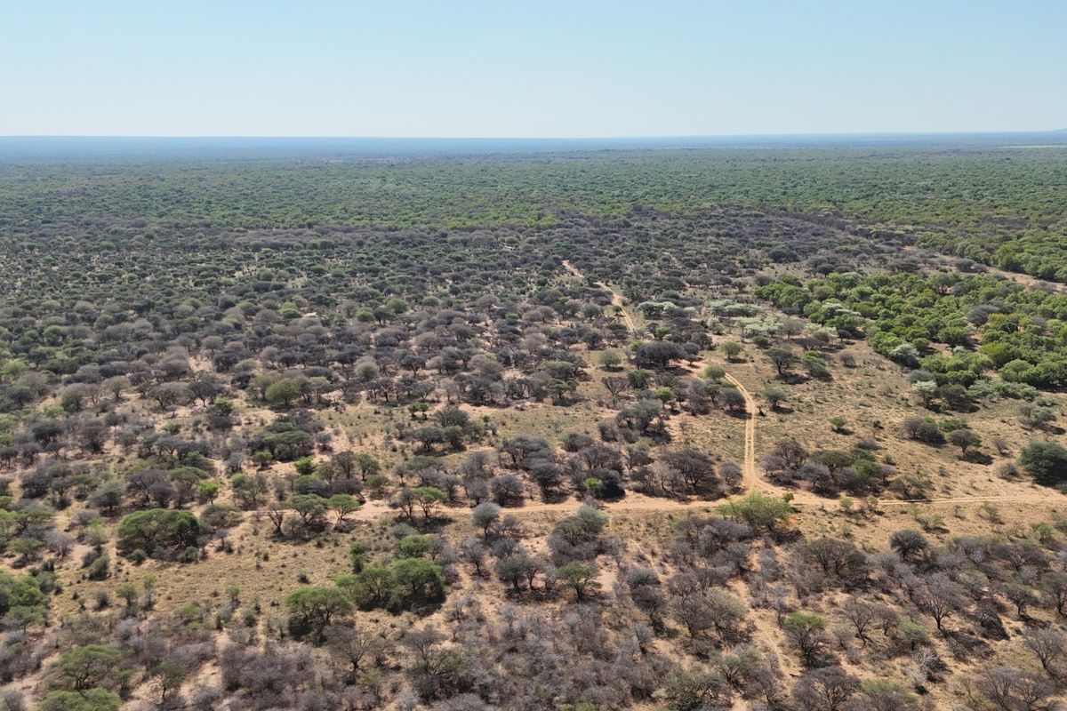 An expansive aerial view of the farm property, showcasing the vast landscape, native bushveld, and existing dirt access tracks.