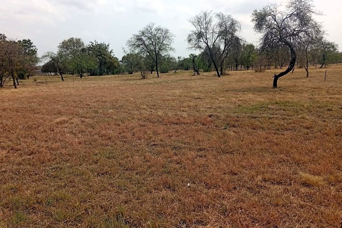 A wide-angle view of a vacant residential plot featuring dry grass and scattered mature trees.