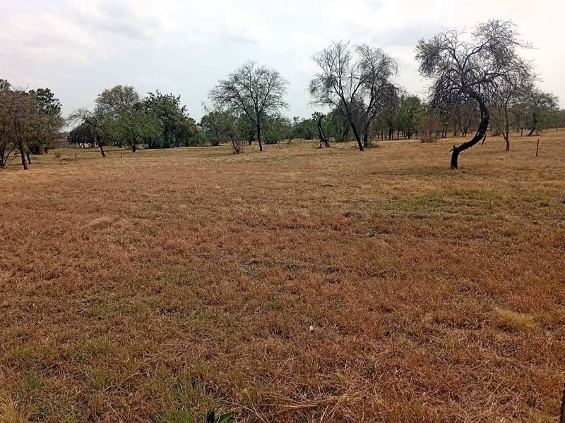 A wide-angle view of a vacant residential plot featuring dry grass and scattered mature trees.