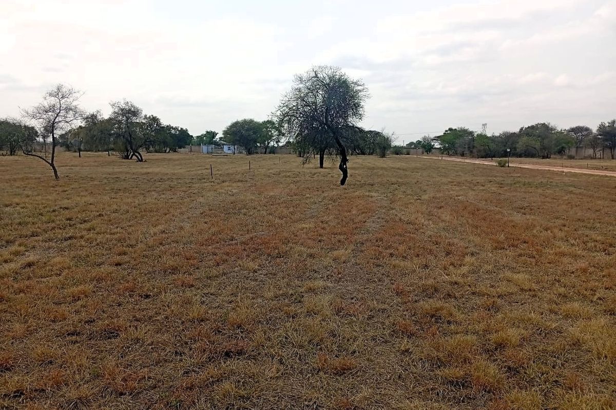 A wide-angle view of a vacant residential plot featuring dry grass and scattered mature trees, suitable for future development.