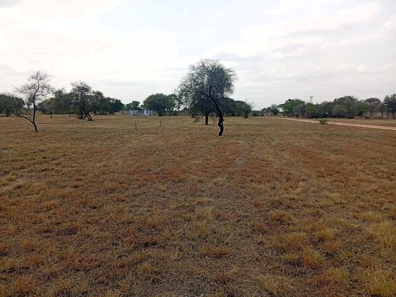 A wide-angle view of a vacant residential plot featuring dry grass and scattered mature trees, suitable for future development.