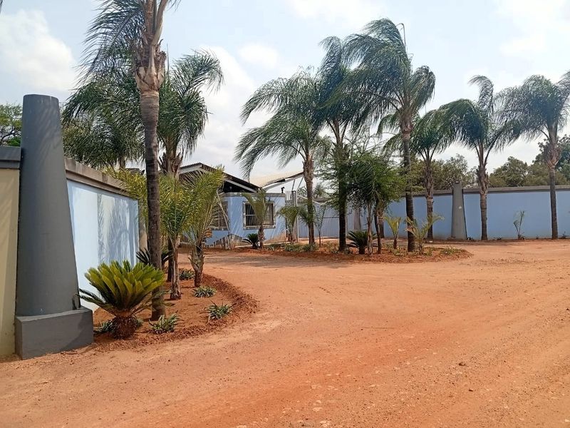 A view of the property entrance featuring a perimeter wall, gated access, and established palm trees set within a landscaped garden area.