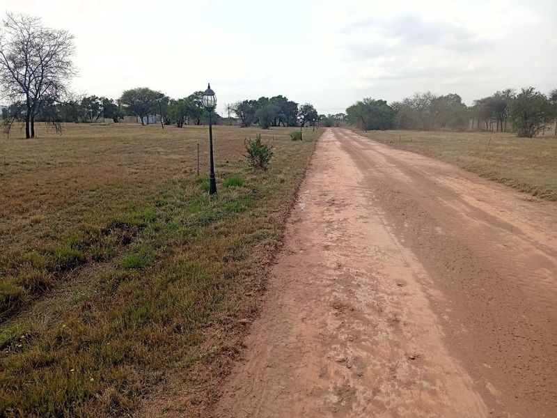 A view of a dirt access road leading through a vacant residential plot with established trees and a lamp post.