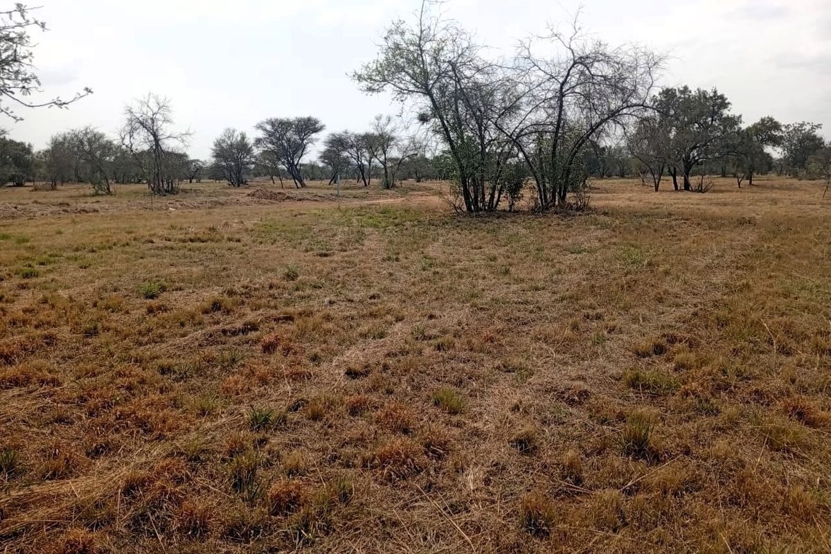 A view of a vacant residential plot featuring natural grassland and scattered native trees.
