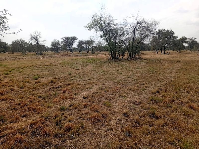 A view of a vacant residential plot featuring natural grassland and scattered native trees.
