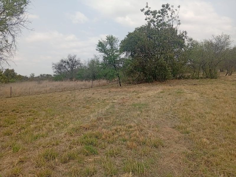 A view of a vacant residential plot featuring natural grassland, mature trees, and perimeter wire fencing.