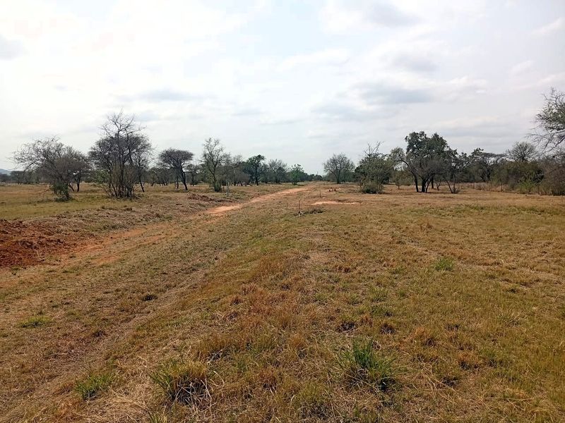 A view of a vacant residential plot featuring natural vegetation and open land, suitable for future development.