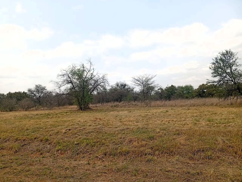 A view of a vacant residential plot featuring natural grass, scattered trees, and perimeter wire fencing.