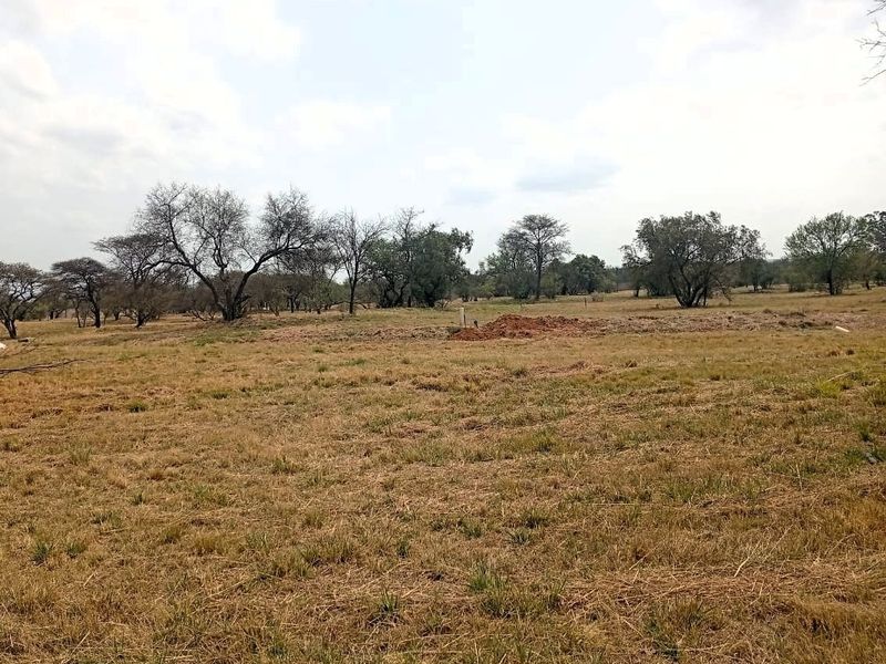 A view of a vacant residential plot featuring natural grassland and mature trees, offering a blank canvas for future development.