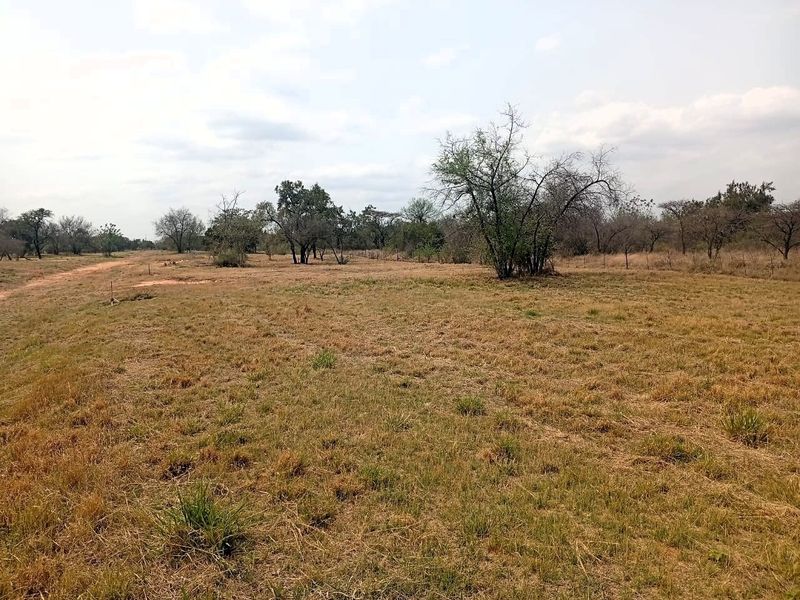 A view of a vacant residential plot featuring natural grassland, scattered indigenous trees, and perimeter wire fencing.