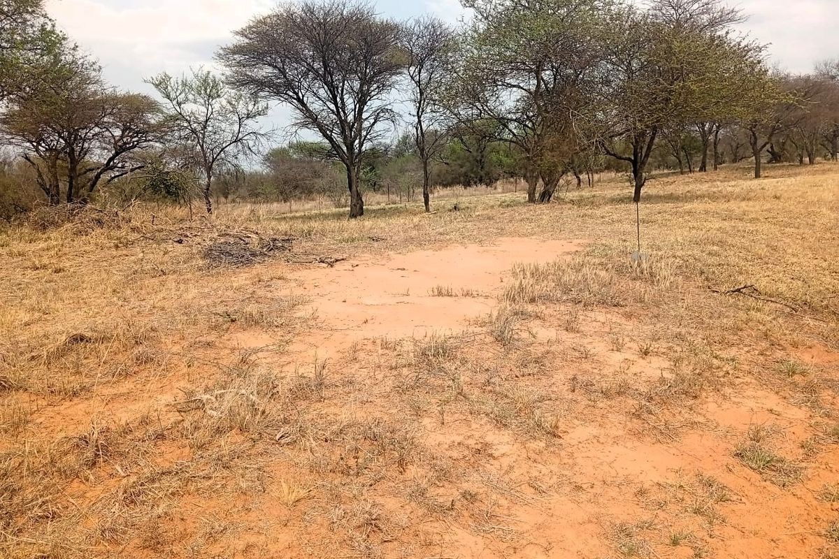 A view of a vacant residential plot featuring natural dry grass, indigenous trees, and perimeter fencing.