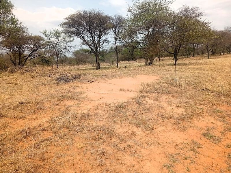 A view of a vacant residential plot featuring natural dry grass, indigenous trees, and perimeter fencing.