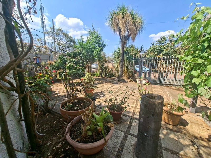 A paved garden area featuring established trees, perimeter metal fencing, and a gated entrance, offering potential for landscaping and outdoor improvement.