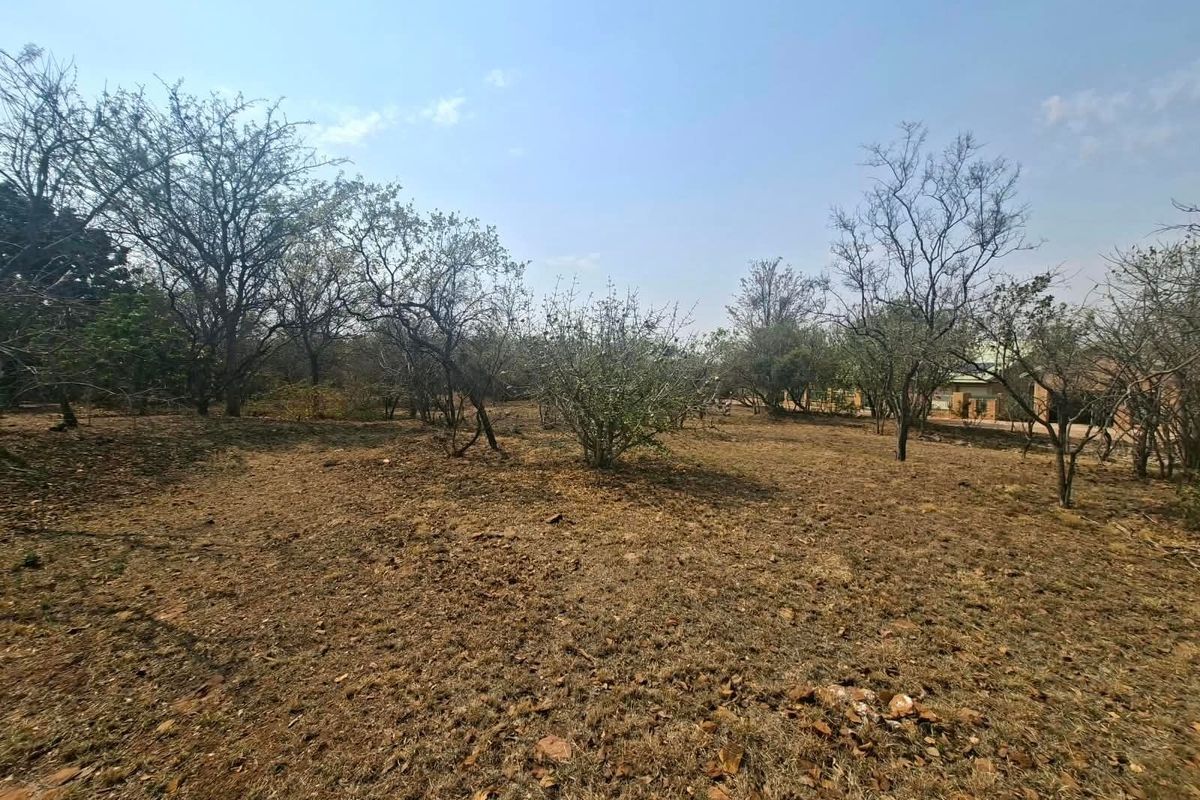 A view of a vacant residential plot featuring natural vegetation and mature trees, offering a blank canvas for future development.