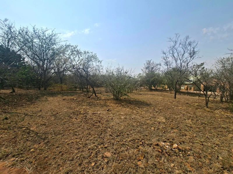 A view of a vacant residential plot featuring natural vegetation and mature trees, offering a blank canvas for future development.