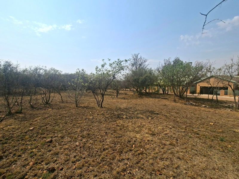 A view of the vacant residential land featuring established trees and open space, suitable for future development.