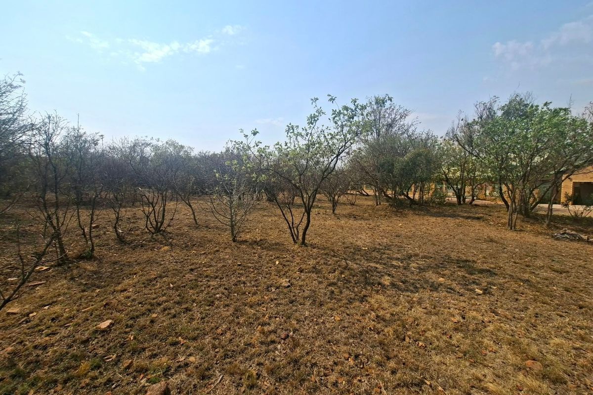 A view of a vacant residential plot featuring natural vegetation and established trees on dry, open ground.