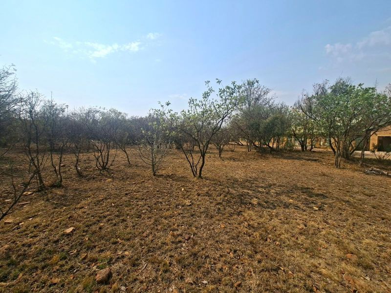 A view of a vacant residential plot featuring natural vegetation and established trees on dry, open ground.