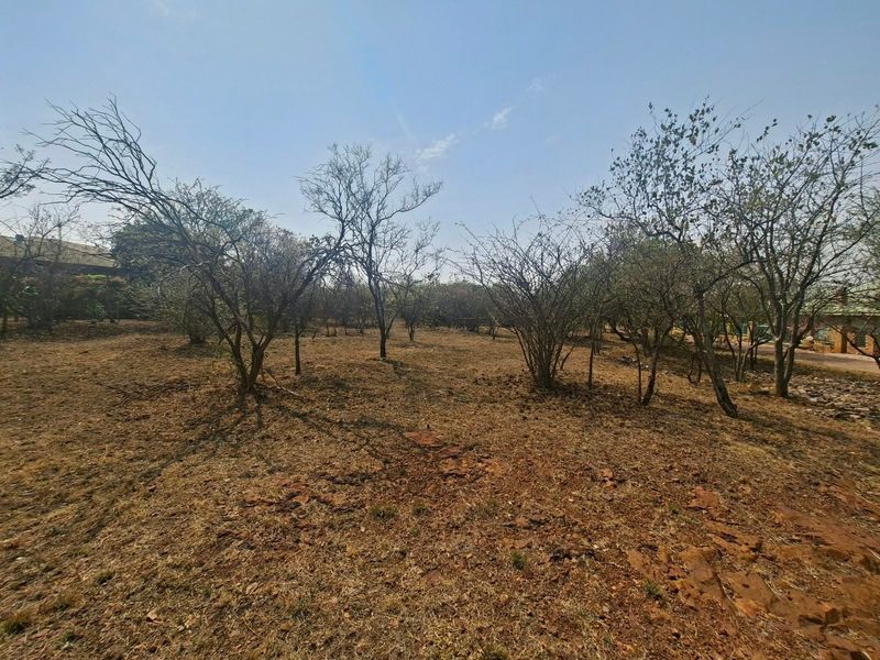 A view of a vacant residential plot featuring natural dry vegetation and established indigenous trees.