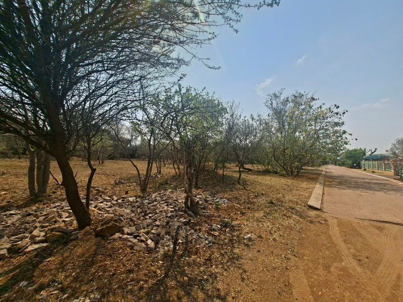 A view of a vacant residential plot featuring mature trees and direct access to a paved road.