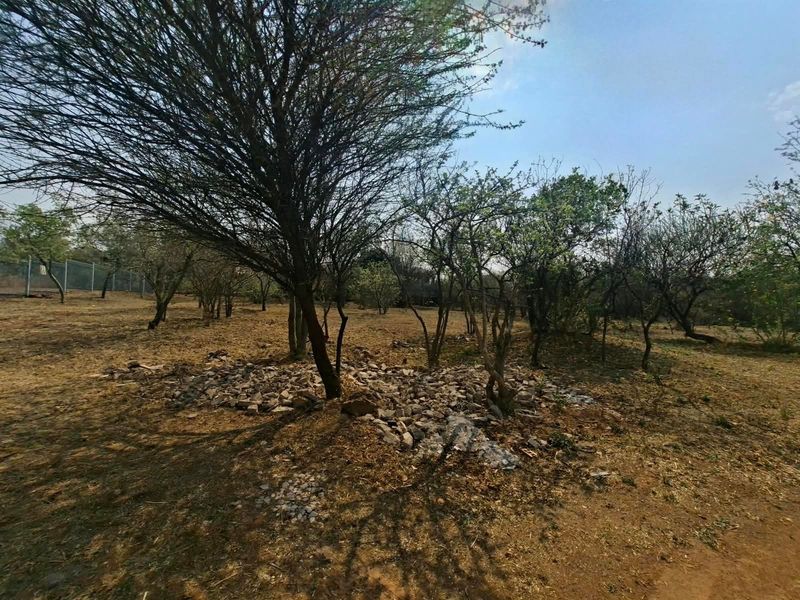A view of the vacant residential land featuring mature trees and perimeter fencing, offering a natural setting for future development.
