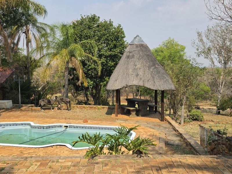 Outdoor pool area featuring a swimming pool, brick paving, and a traditional thatch lapa set within a natural farm landscape.