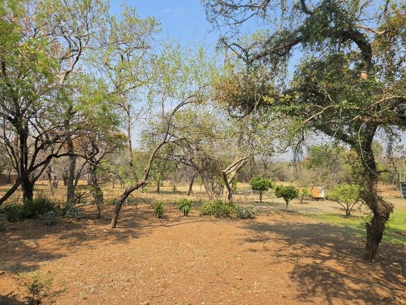 A spacious, natural garden area featuring mature trees and established landscaping on the farm property.