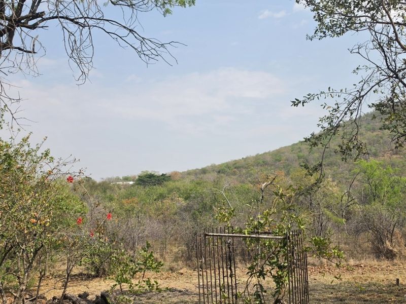 A scenic view of the natural landscape featuring native trees and a hillside, showcasing the property's rural setting.
